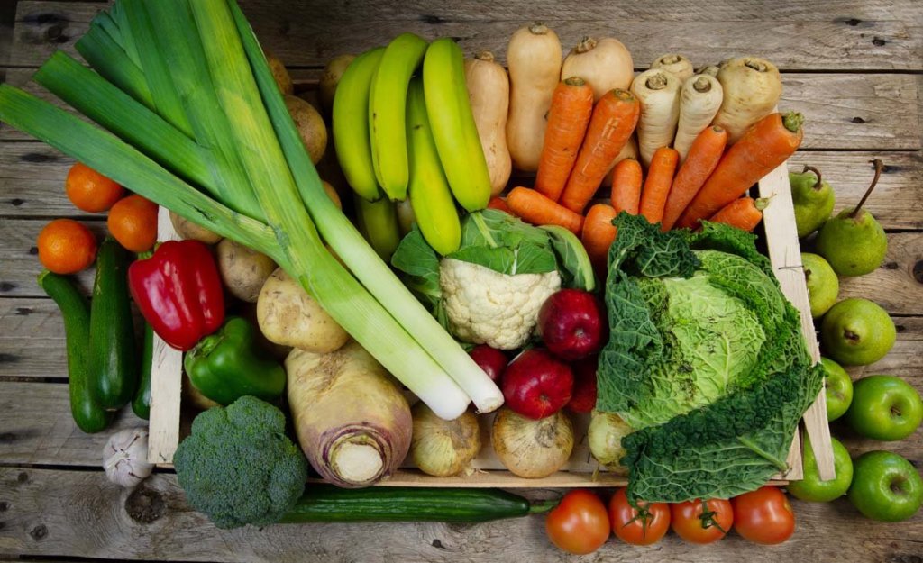 Autumn vegetable harvest