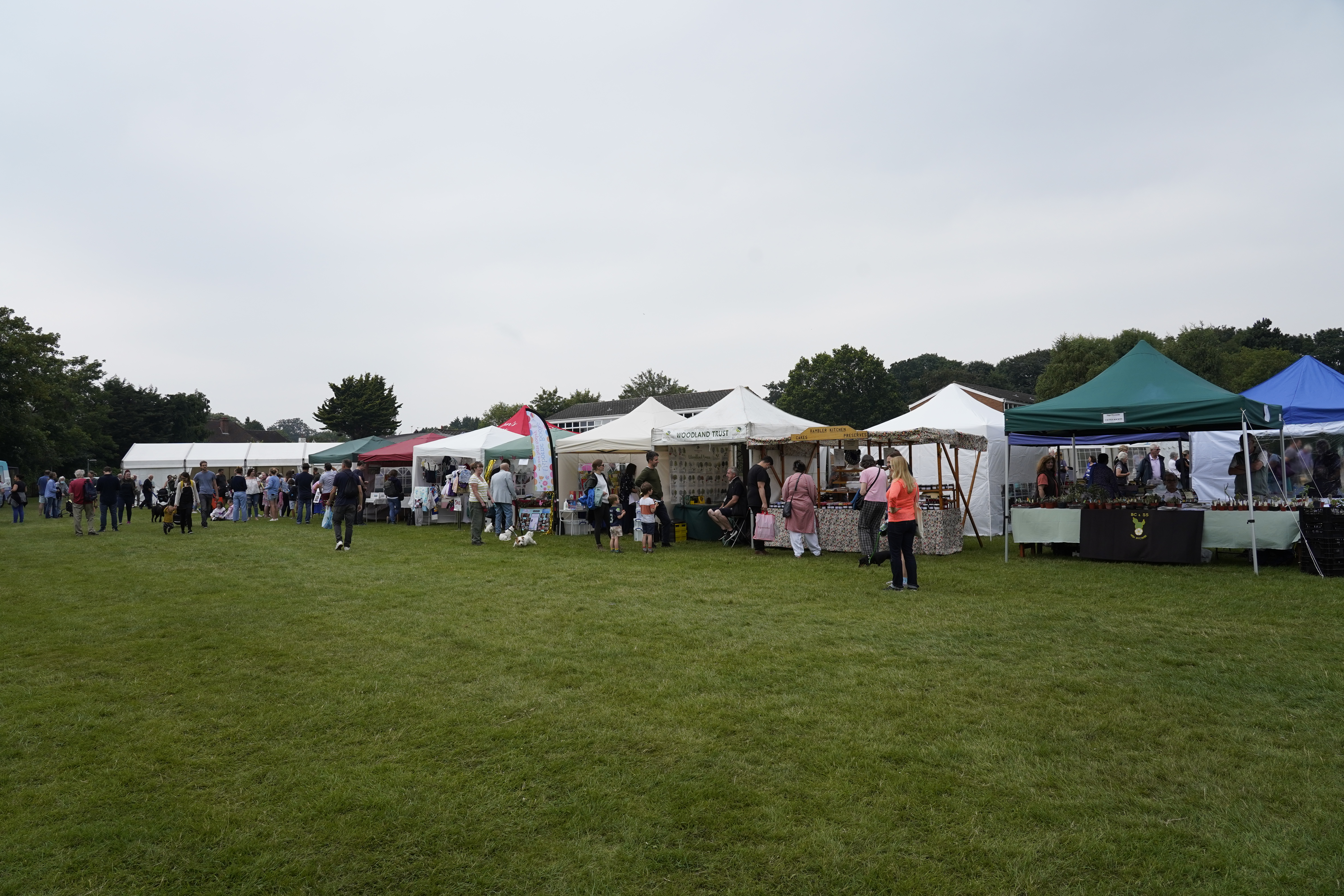 ANNUAL SHOW 2021 preview