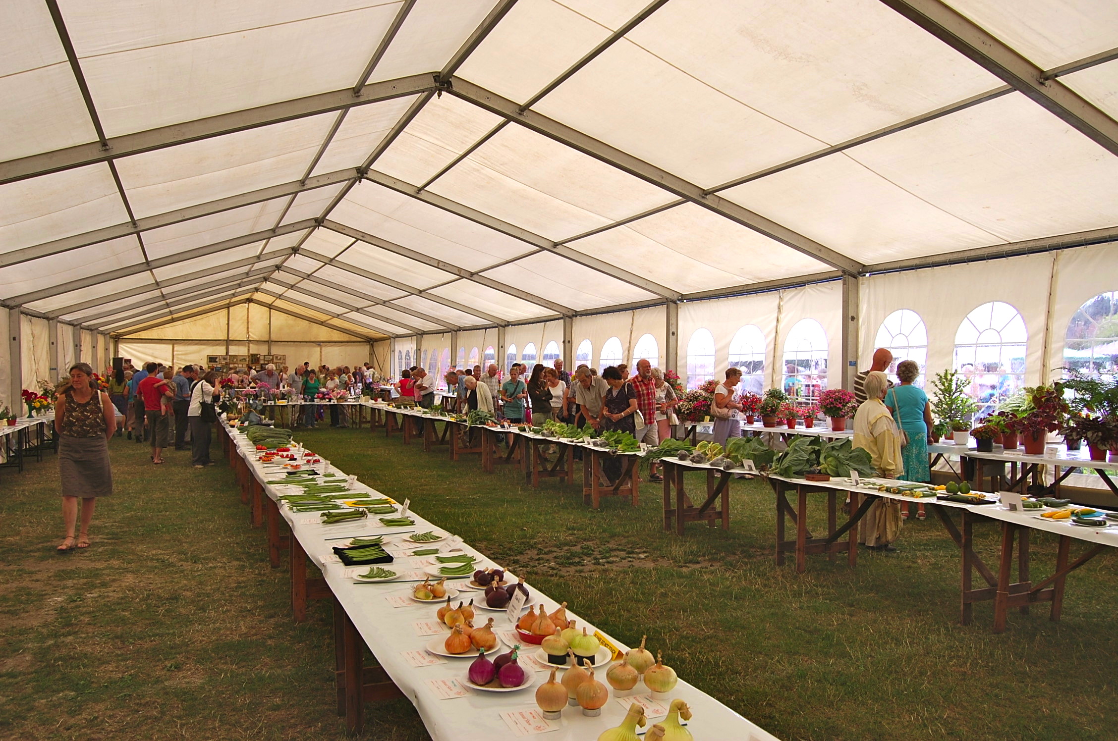 Horticultural society garden border hero image