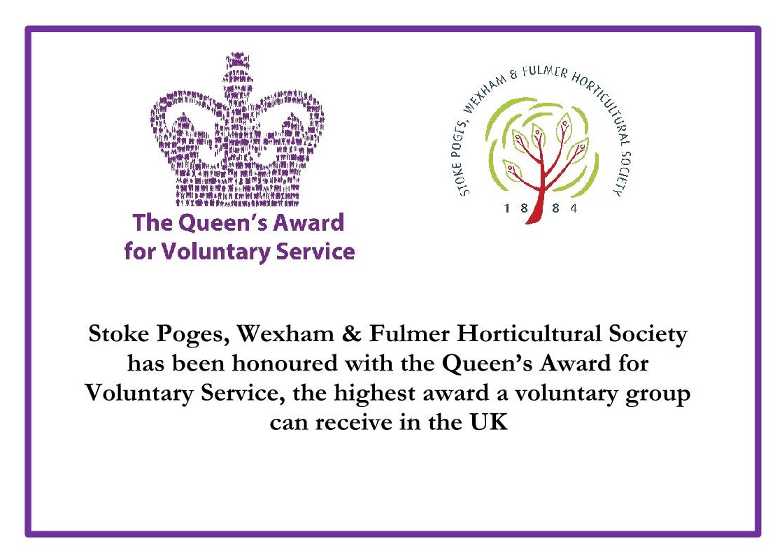 Queen's Award for Voluntary Service announcement graphic
